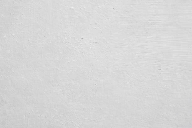 Best Mold Prevention Services  in USA